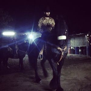 Meet your Posher, Martin